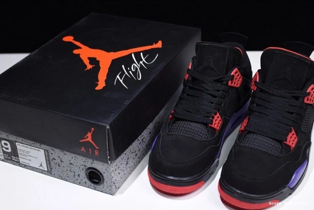 NRG AQ3816-065 Retro 4 Jordan Air Raptors